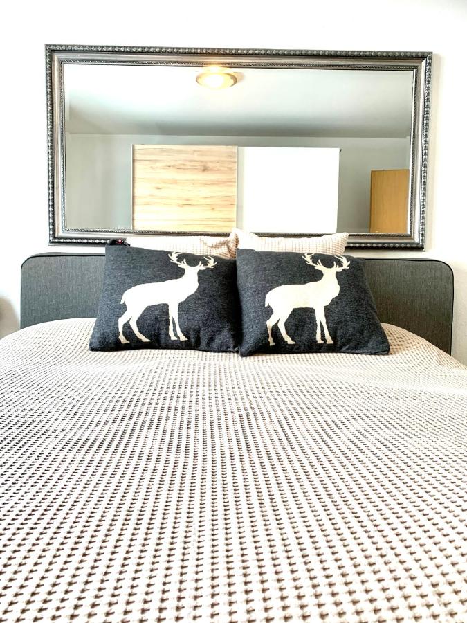 Holiday Apartment Gian - close to the Kongresshaus, the ice hockey stadium, cross-country skiing, the Eau-la-la indoor pool and wellness, large supermarket, 2 bus stops, with an indoor garage and fully equipped - B&B Davos