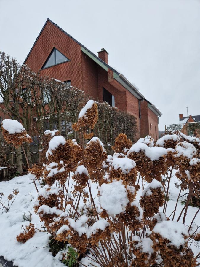 Nimary Logies - B&B Heusden-Zolder