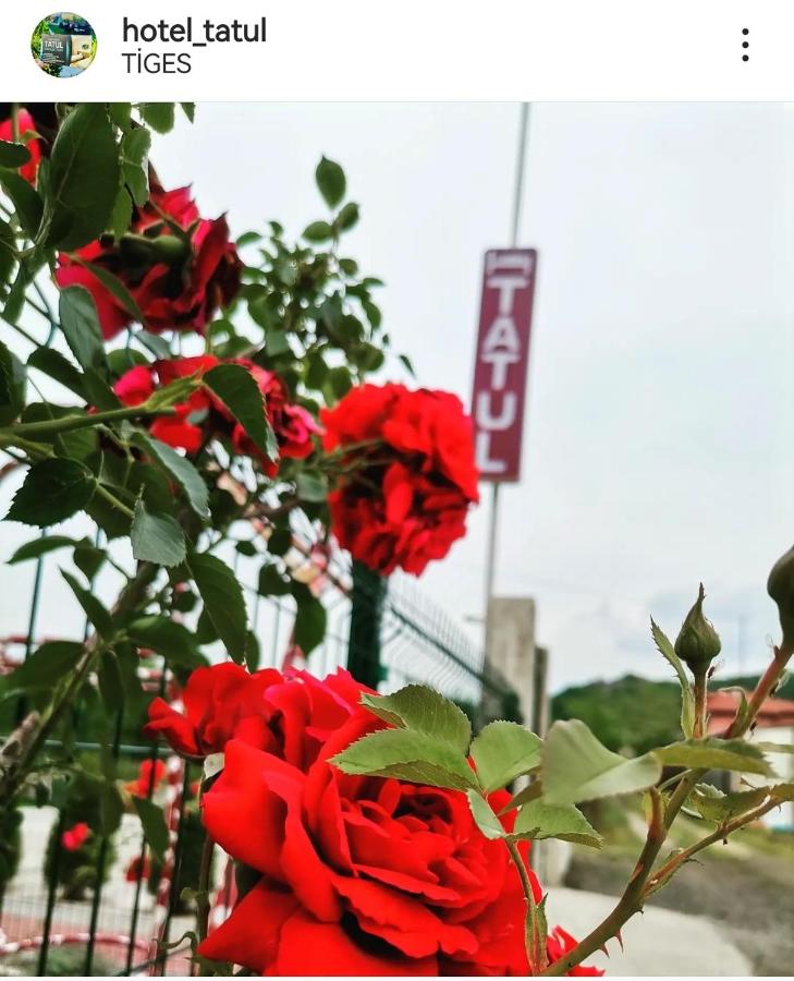 Hotel Tatul - Ferienwohnung Momchilgrad