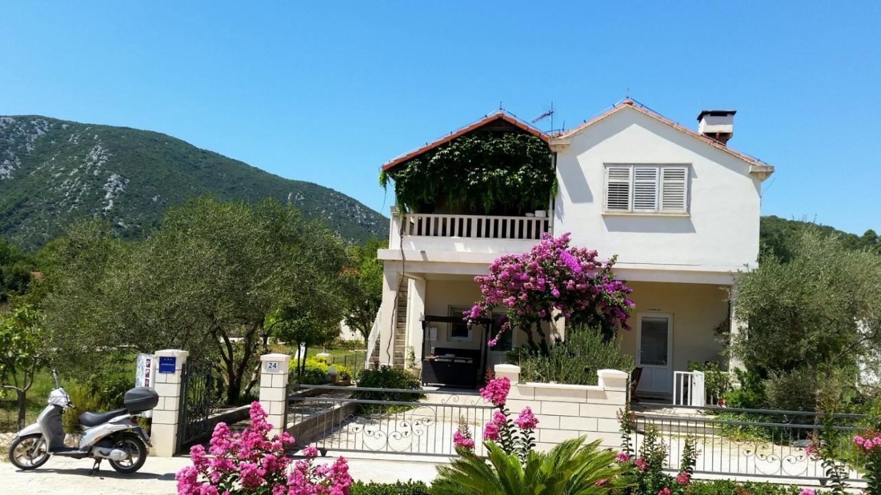 Villa Mali Ston (3588) - B&B