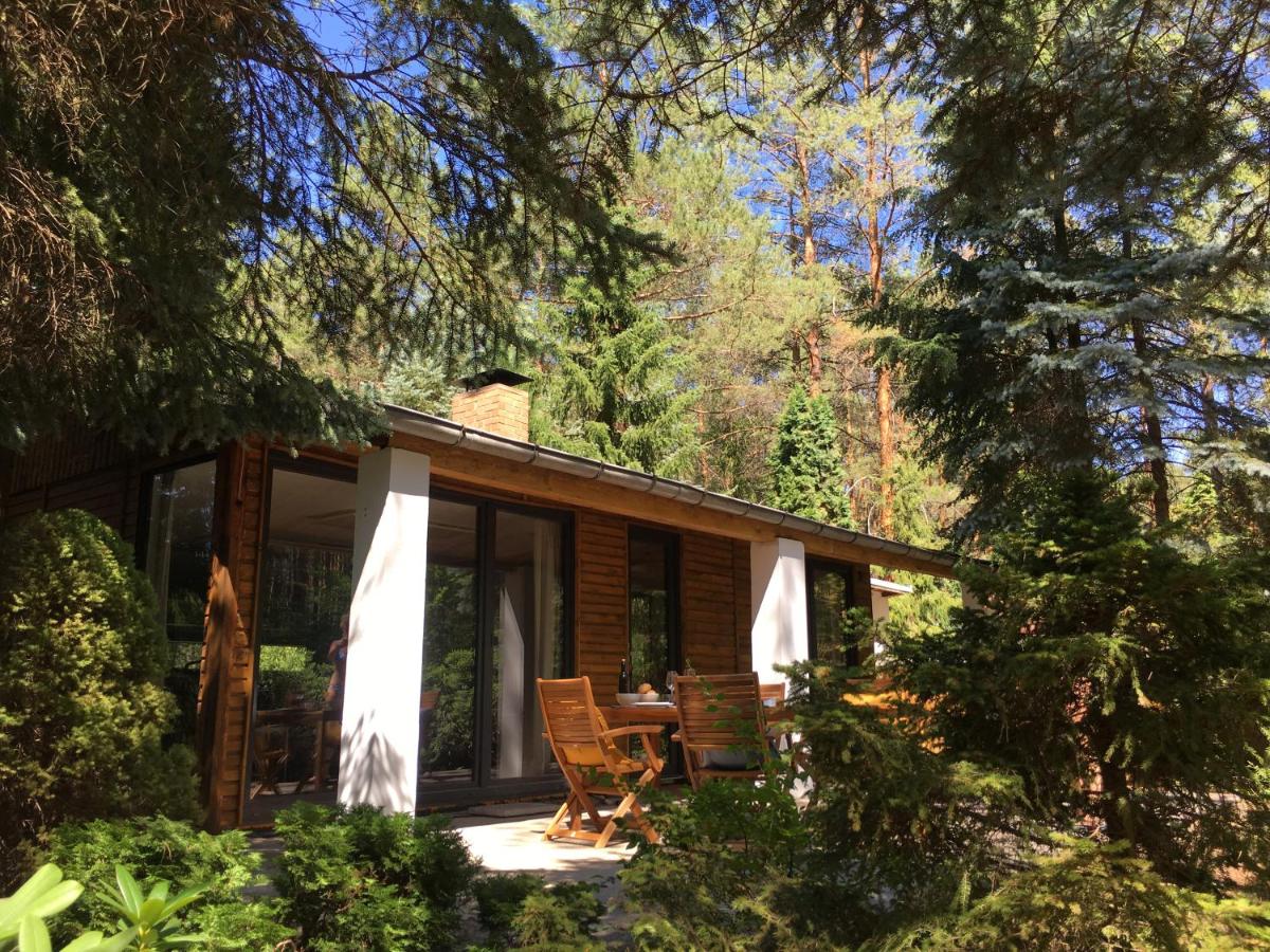 B&B Borkwalde - Bungalow im Wald - Bed and Breakfast Borkwalde