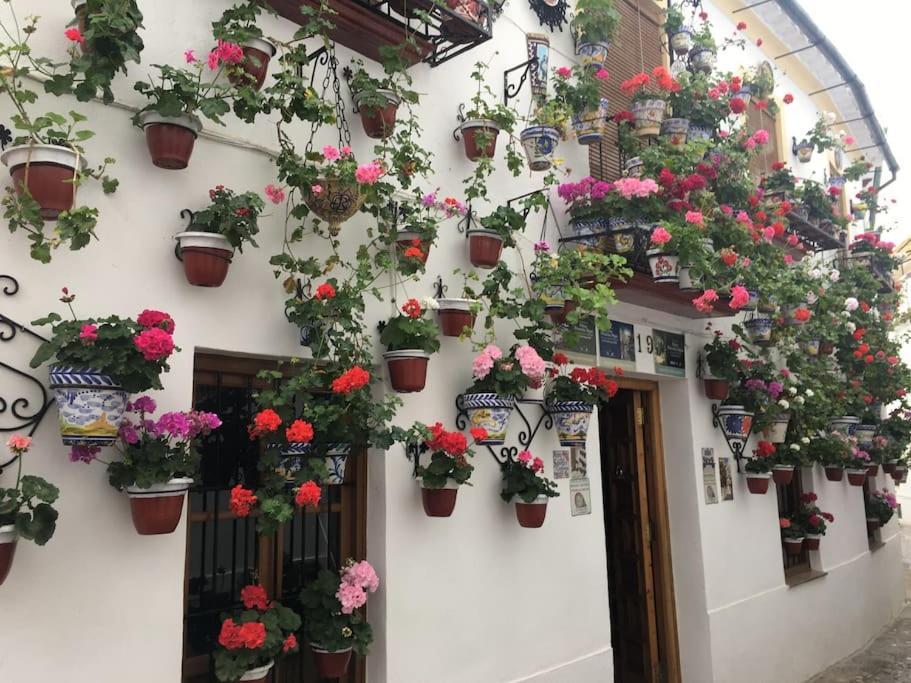 La Puerta de la Axerquía Parking y Wifi Gratis - Ferienwohnung