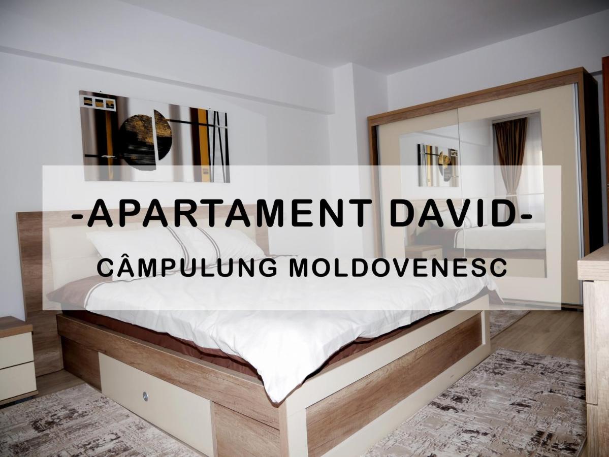 B&B Campulung Moldovenesc - Apartament David - Bed and Breakfast Campulung Moldovenesc