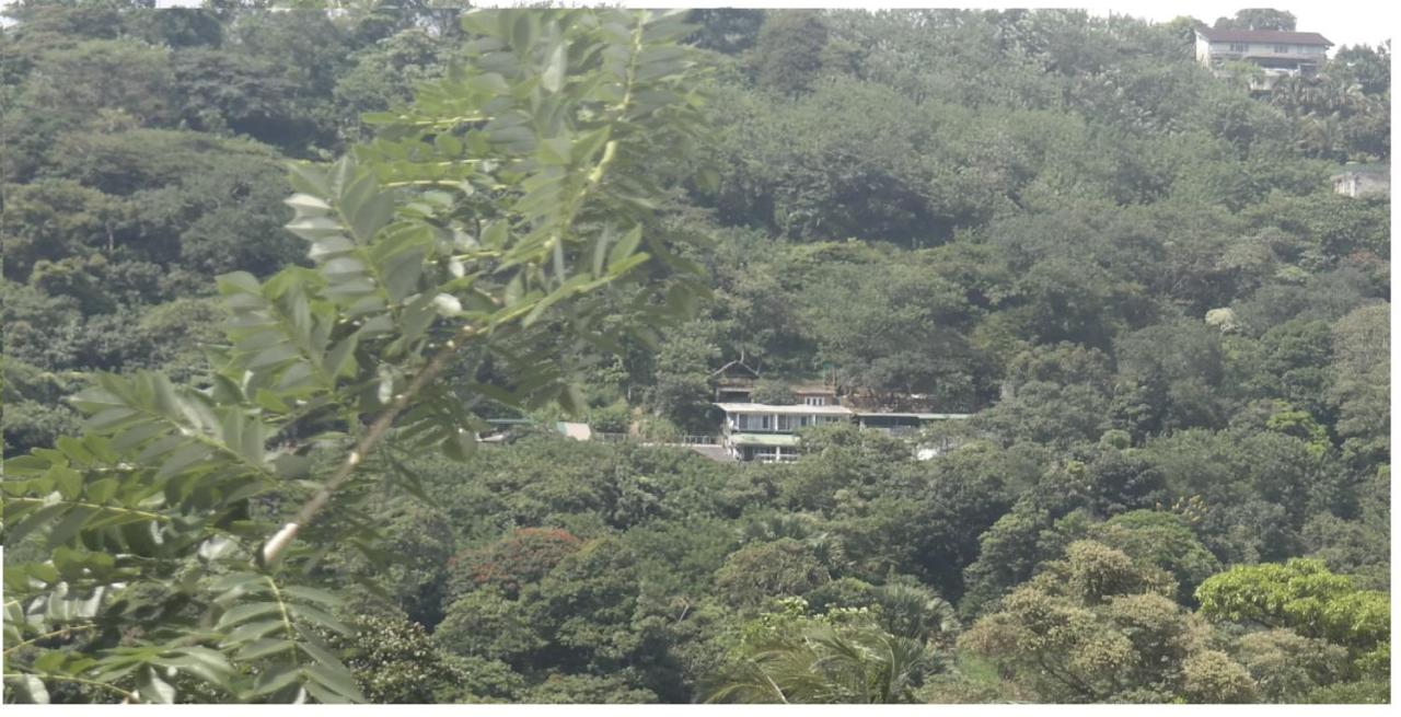 Glenview hotel & homestay - Ferienwohnung