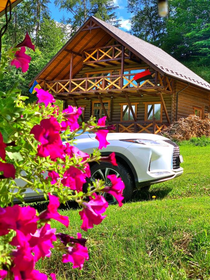Терношорська Лада - B&B