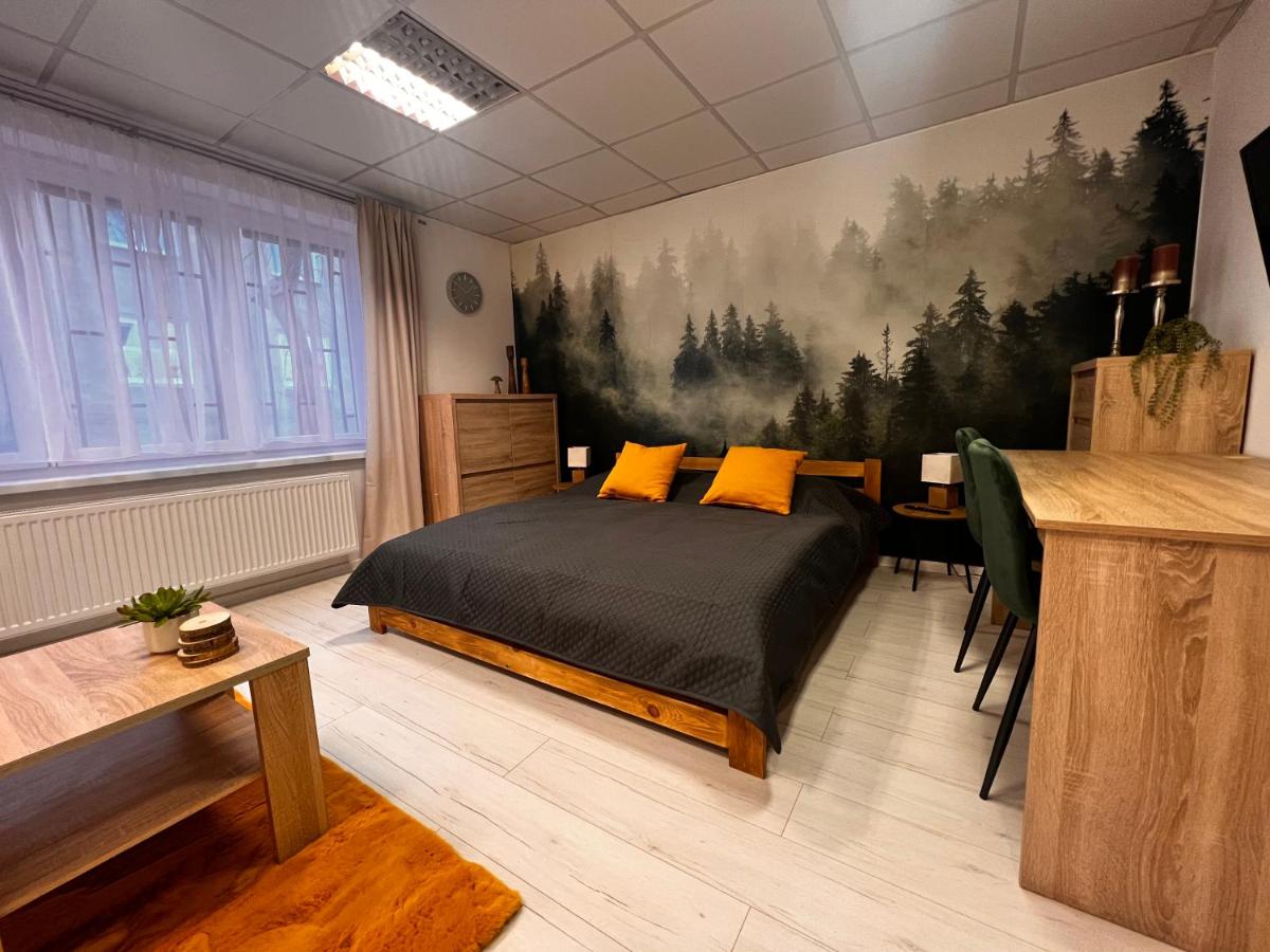 B&B Turz-Sankt Martin - Apártmany v centre - vlastná izba so spoločnou kuchyňou a kúpeľnou môže byť zdieľaná 2 inými izbami - Bed and Breakfast Turz-Sankt Martin