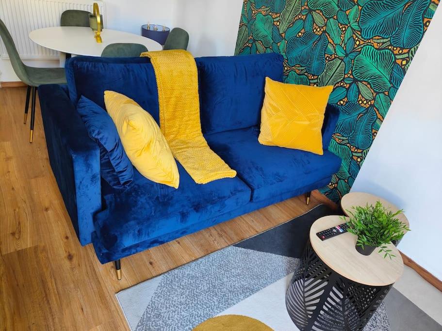 Charmant T2 atypique, rénové - B&B Béziers