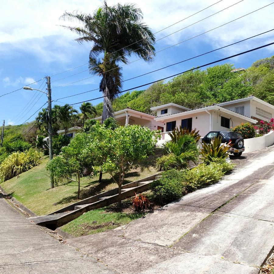Villa Adina - A luxury villa with pool, perfect for a quiet hideaway or an exotic escape - B&B