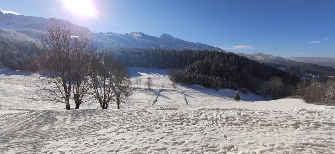 Studio cosy au pied des pistes Villard-de-Lans 4 pers - Ferienwohnung