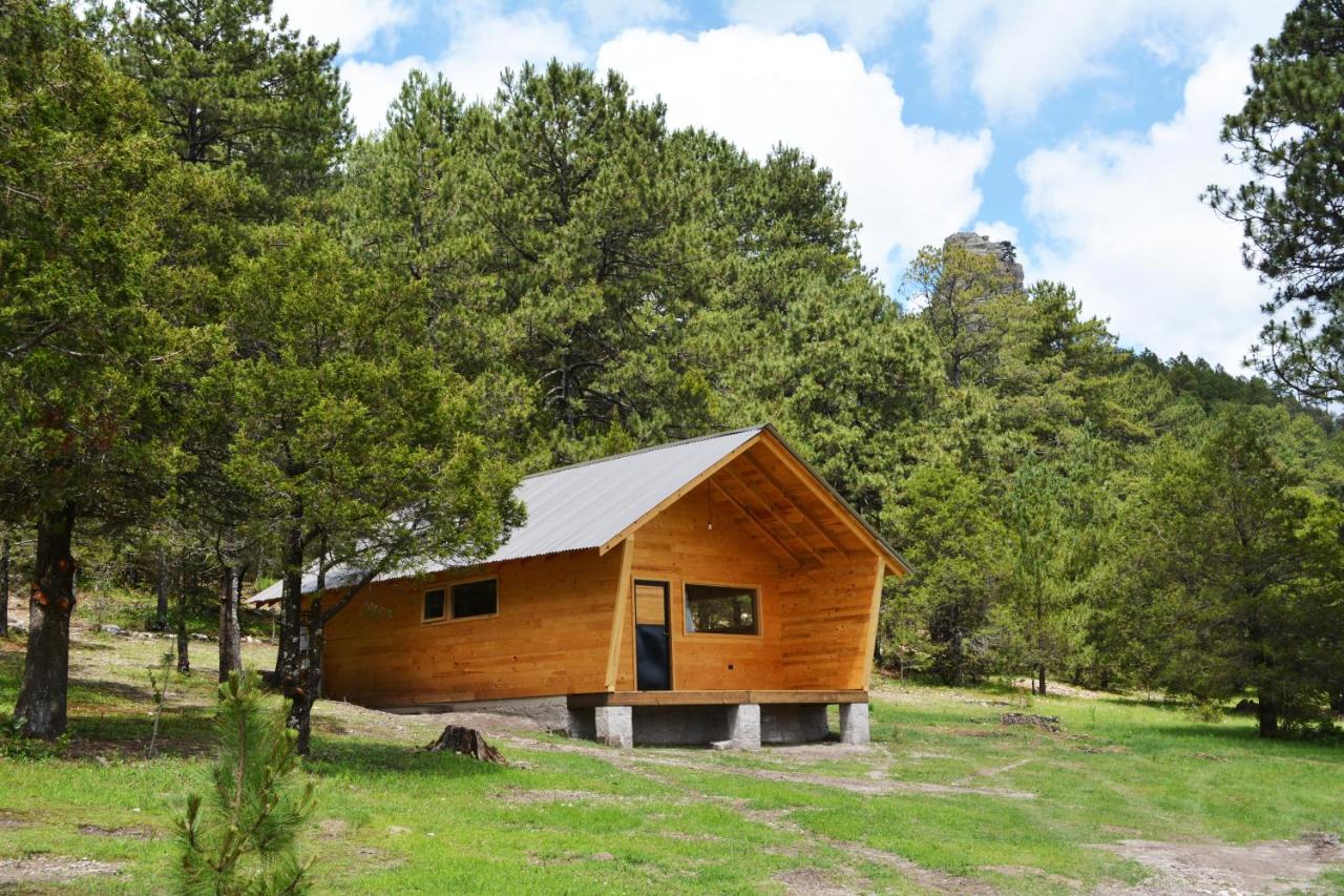 Cabaña de Montaña Parque La Pirámide - Ferienwohnung La Florida