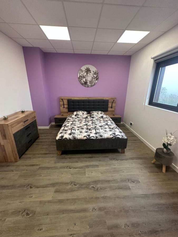 Loft chic standing - Ferienwohnung