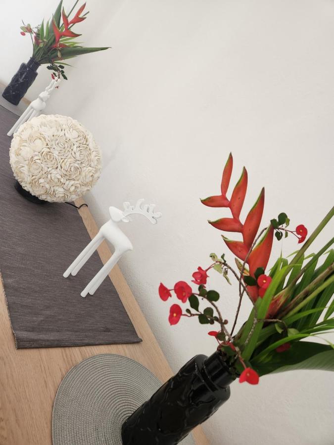 Kaz Memel - B&B Beau Vallon