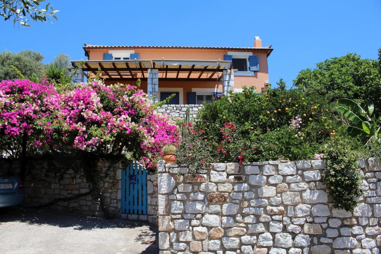 Alexia - B&B