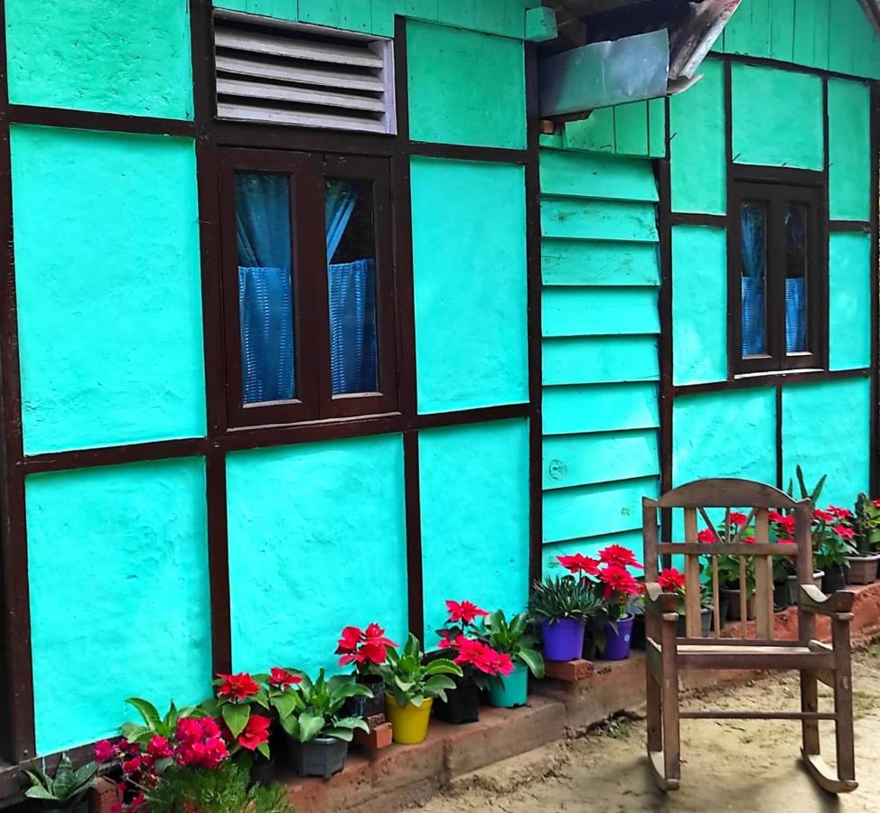 B&B Darjeeling - Live in Nature - Bed and Breakfast Darjeeling