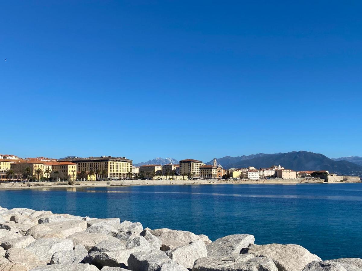 Studio neuf et lumineux - Ajaccio centre - Place Miot/Albert 1er - B&B