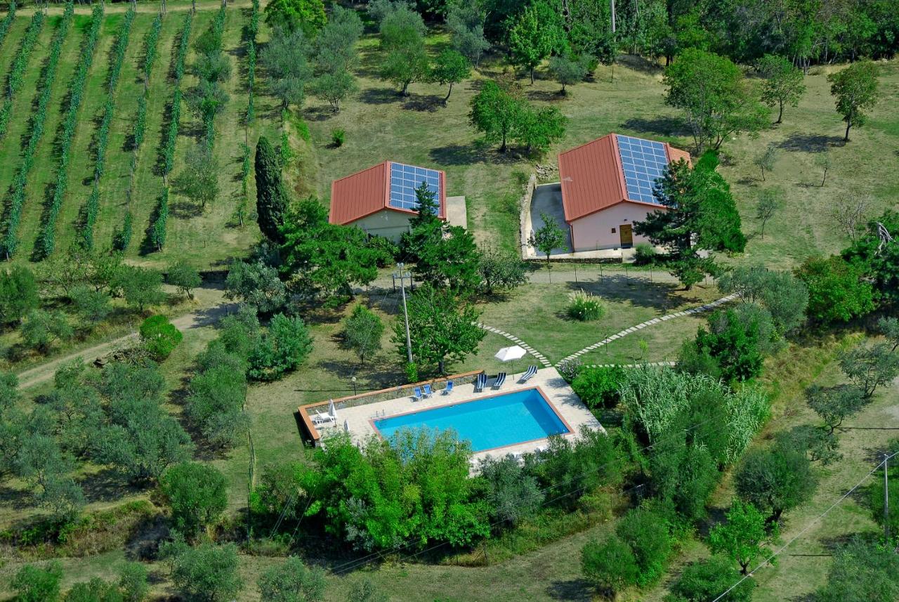 Double Room with Pool View
