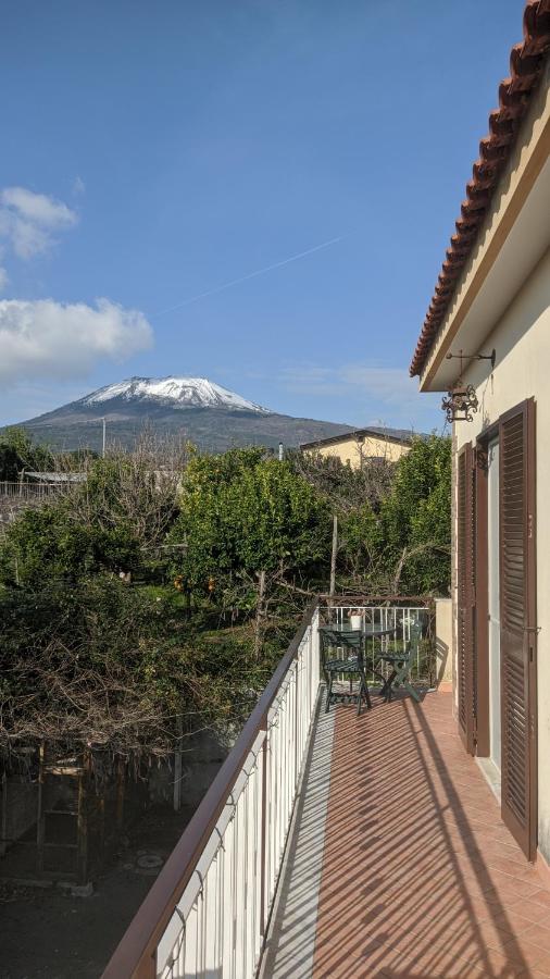 Villa Giulia al Vesuvio - B&B Trecase