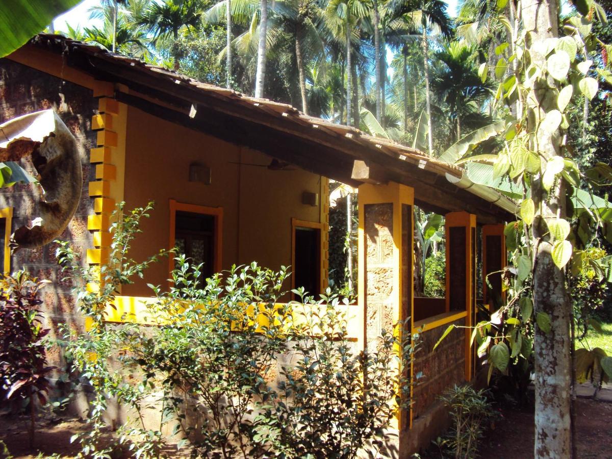 Dudhsagar Plantation - B&B Cormonem