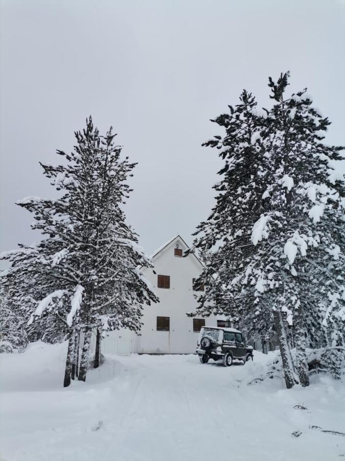 B&B Donji Palež - MAJA - kuća za odmor, 150m od skijališta - Bed and Breakfast Donji Palež