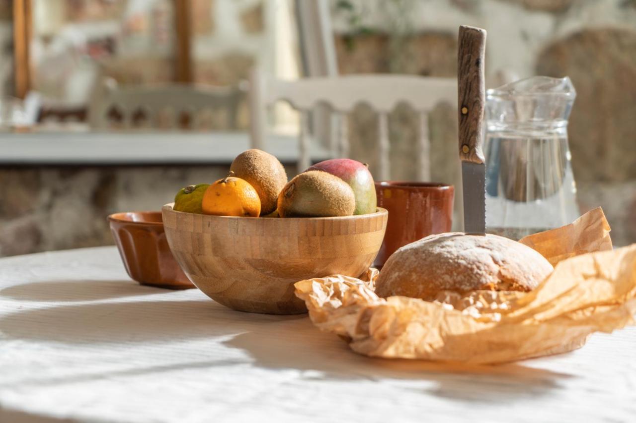 Growth House - B&B Oporto