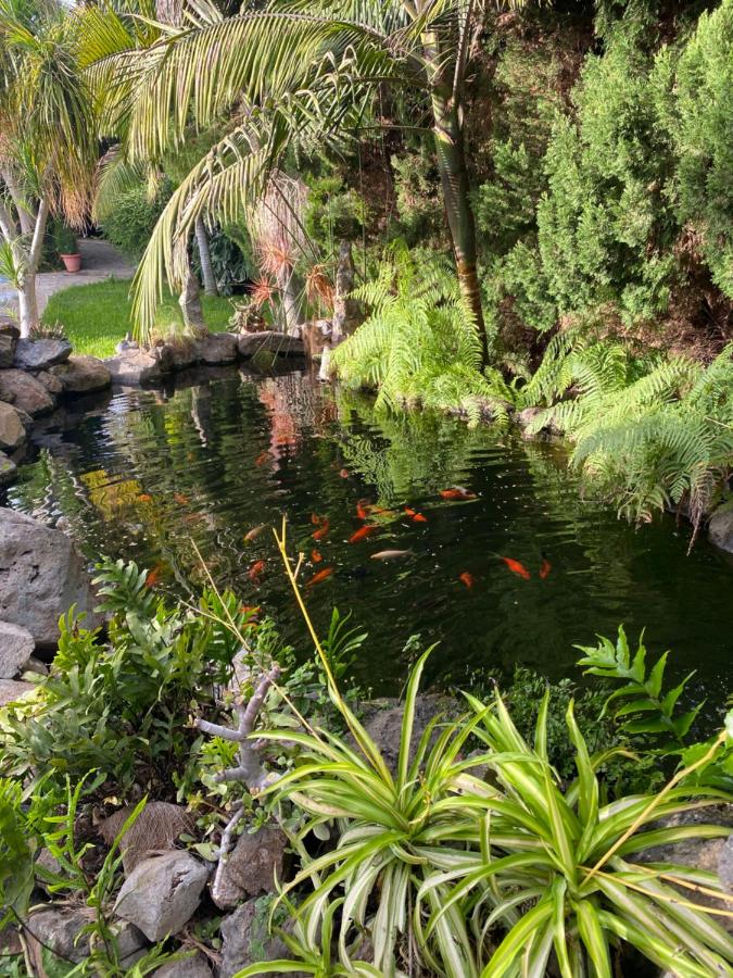 El Time - B&B Tijarafe