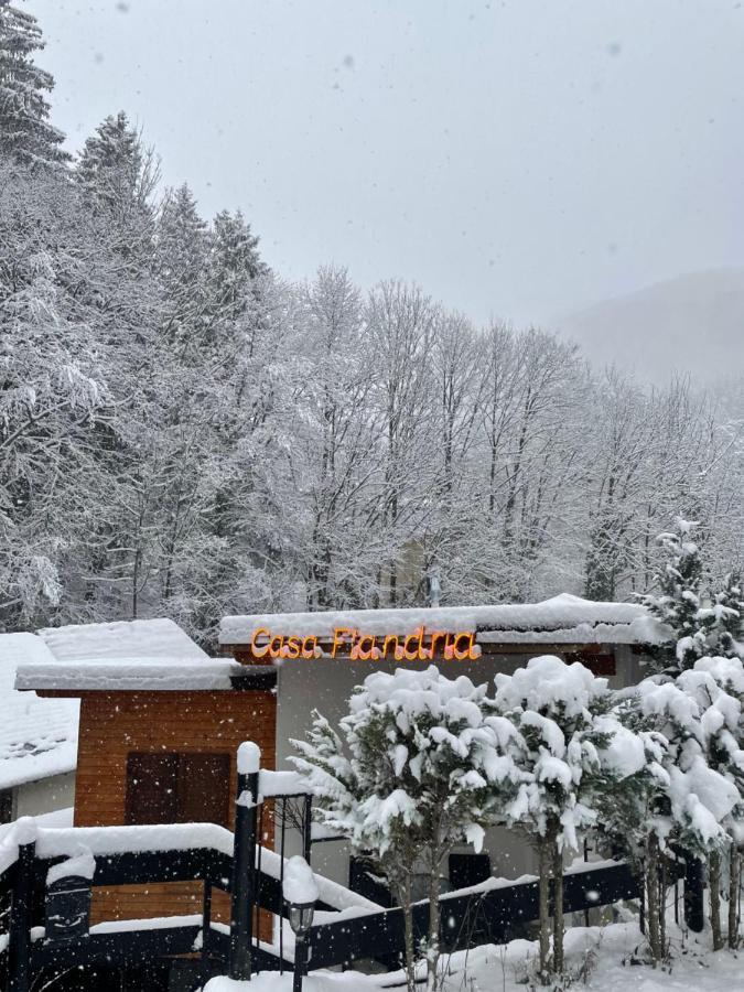 Casa Flandria - B&B Sinaia