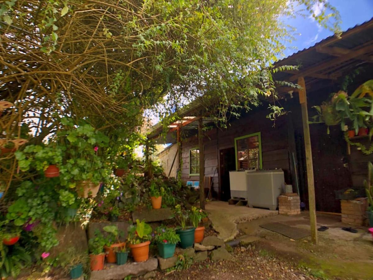Cabaña Ararí - B&B