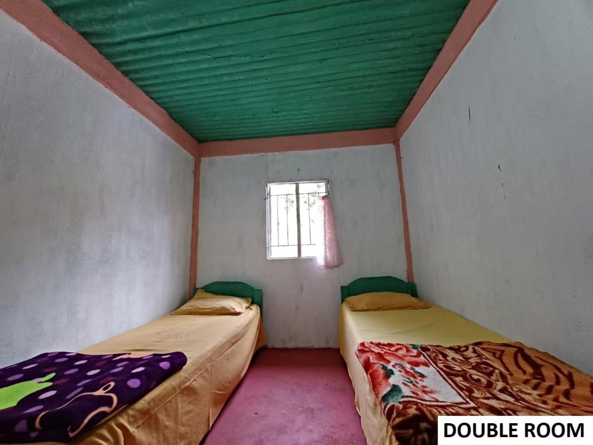 Double Room with Shared Bathroom