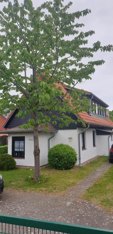 Seeblick - B&B