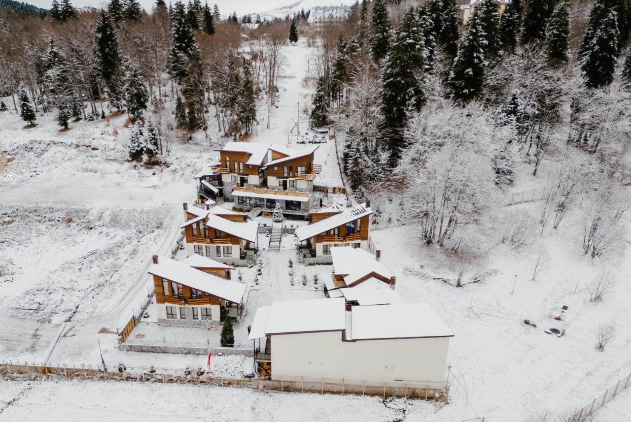 7 Cottage in Bakuriani - B&B