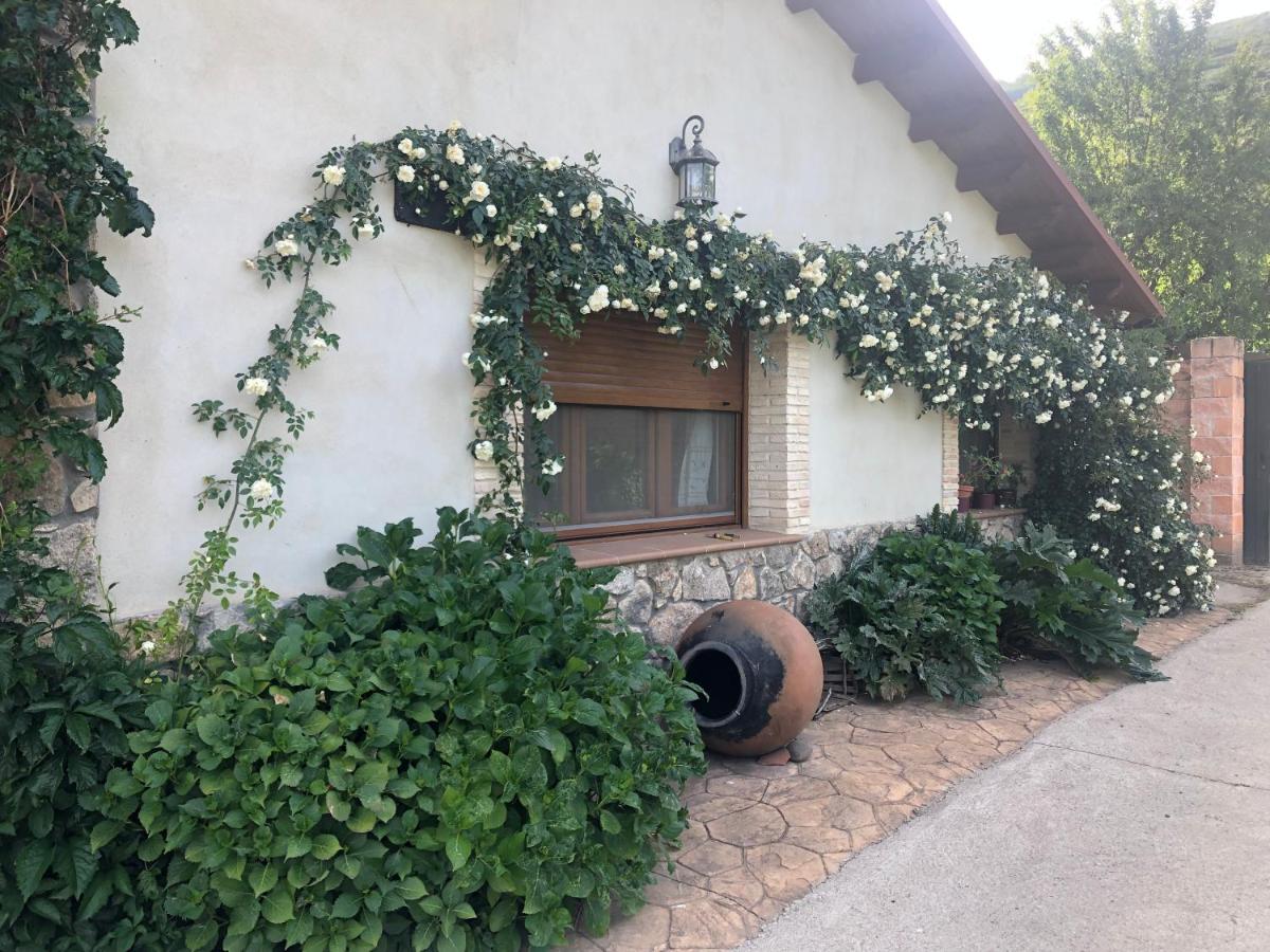 Casa Rural Las Picotas - B&B Navaconcejo