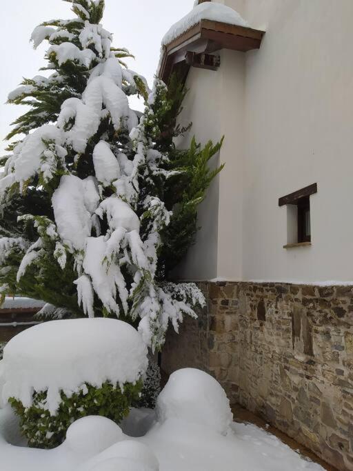 OROEL Beds & Dreams - Espectacular planta baja en Badaguás-Pirineo - B&B