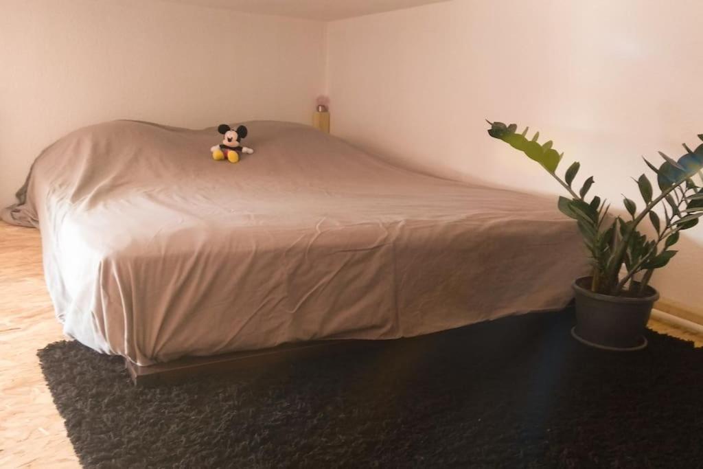 Appartamento con 1 Camera da Letto