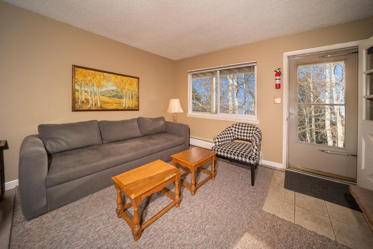 Hi Country Haus Unit 0309 - B&B Winter Park