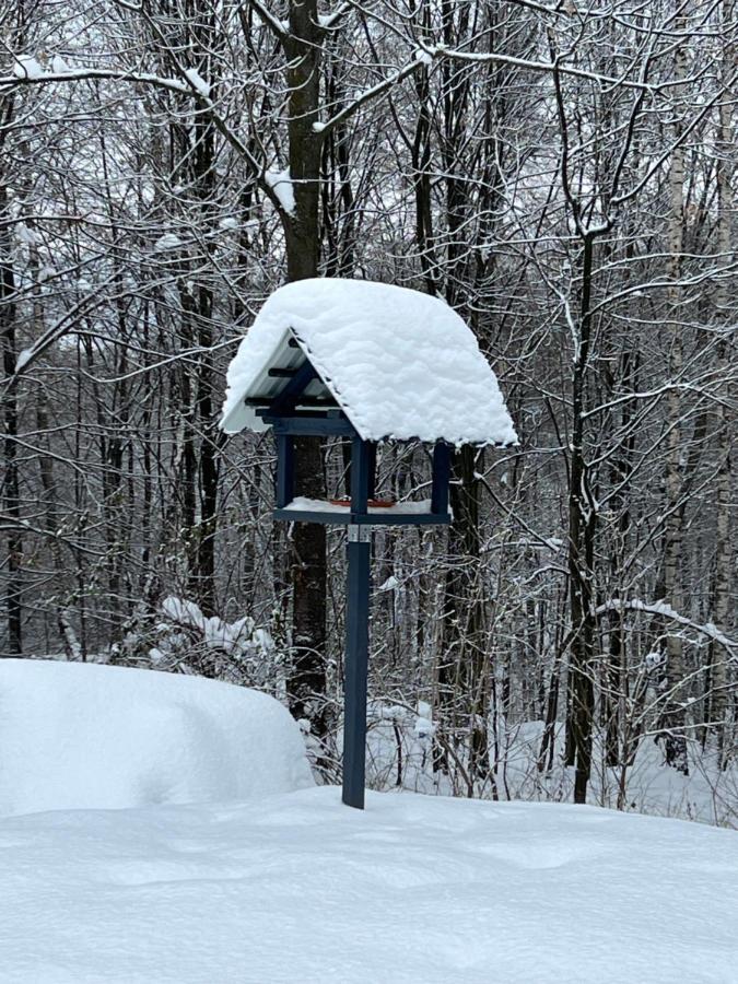 Villa de 1 dormitorio