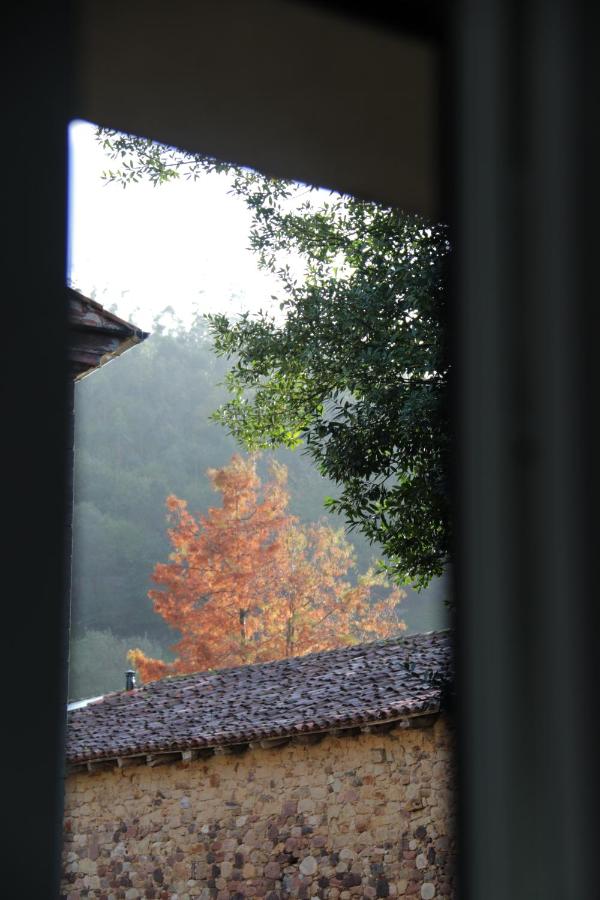 Casa Anida en Hualle - B&B