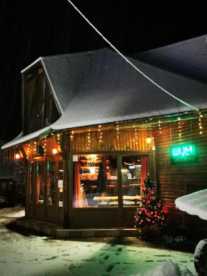 Šum Apartmani - Stara planina - B&B