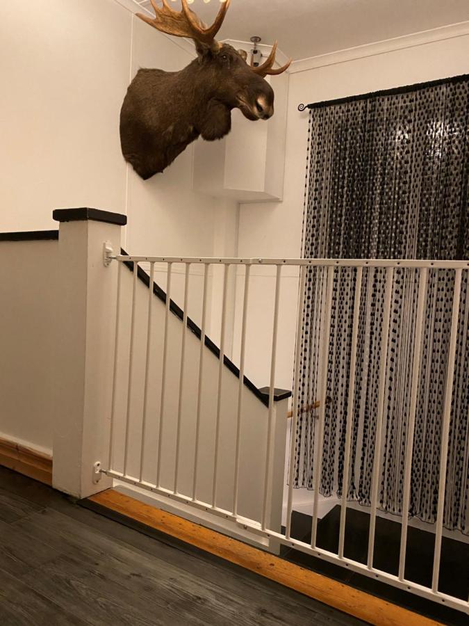 Säfsen Stay - Ferienwohnung