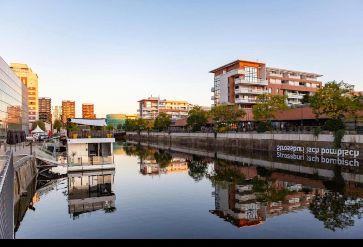 B&B Strasbourg - Appartement haut standing F2 Rivetoile Strasbourg centre parking gratuit terrasse - Bed and Breakfast Strasbourg