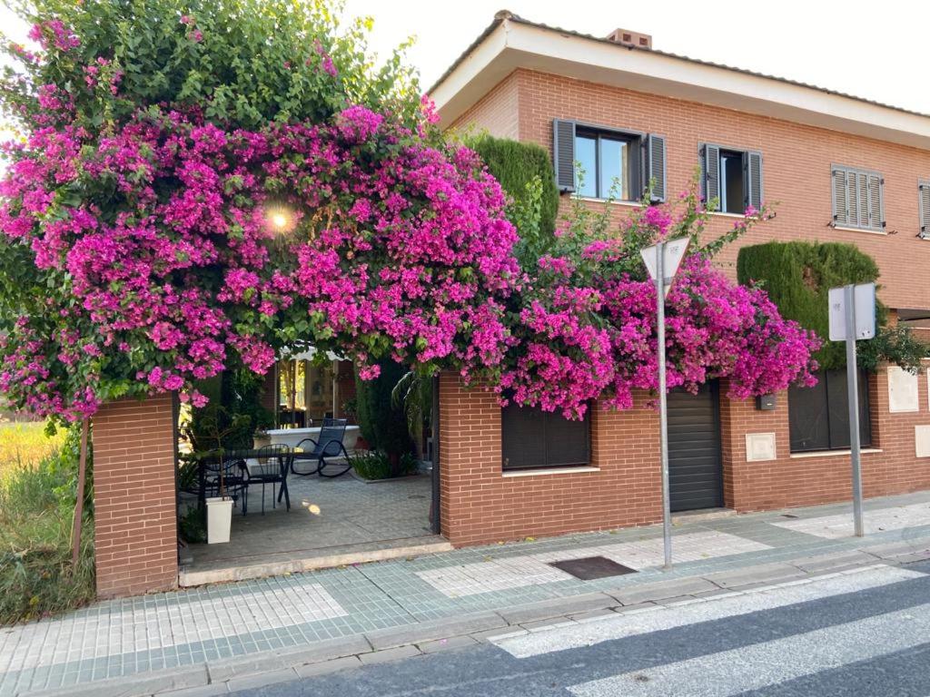 B&B San Juan de Aznalfarache - Paz y tranquilidad, a un paso de Sevilla - Bed and Breakfast San Juan de Aznalfarache