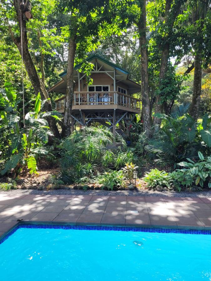 Treehouse La Hierba, Pavones - Ferienwohnung
