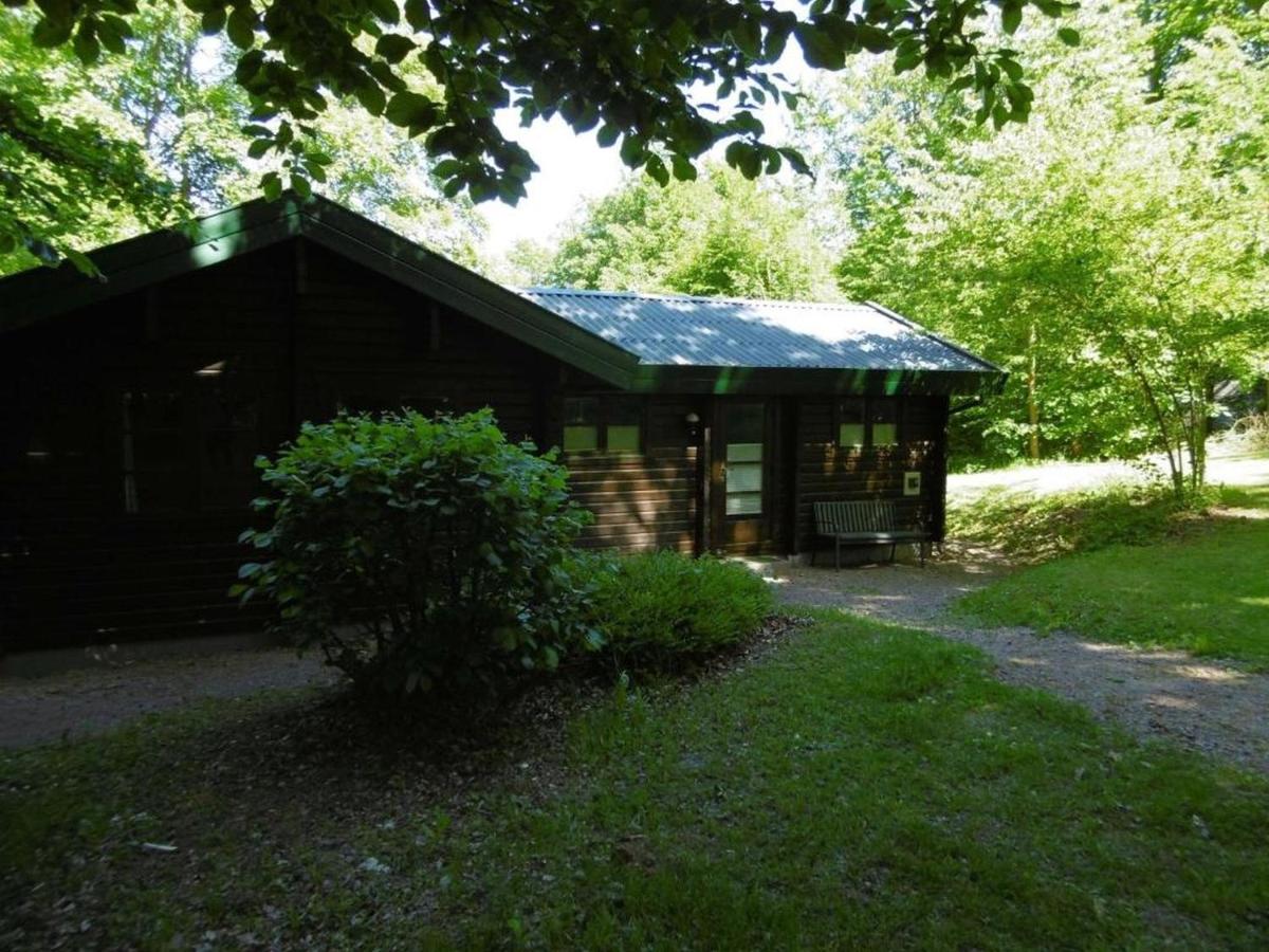 Twistesee Ferienhaus 110 - B&B