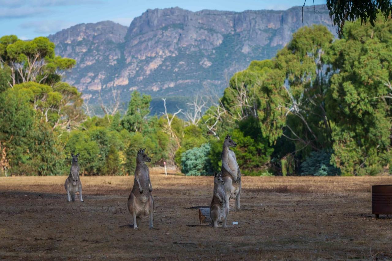 B&B Wartook - Happy Wanderer Holiday Resort The Grampians - Bed and Breakfast Wartook