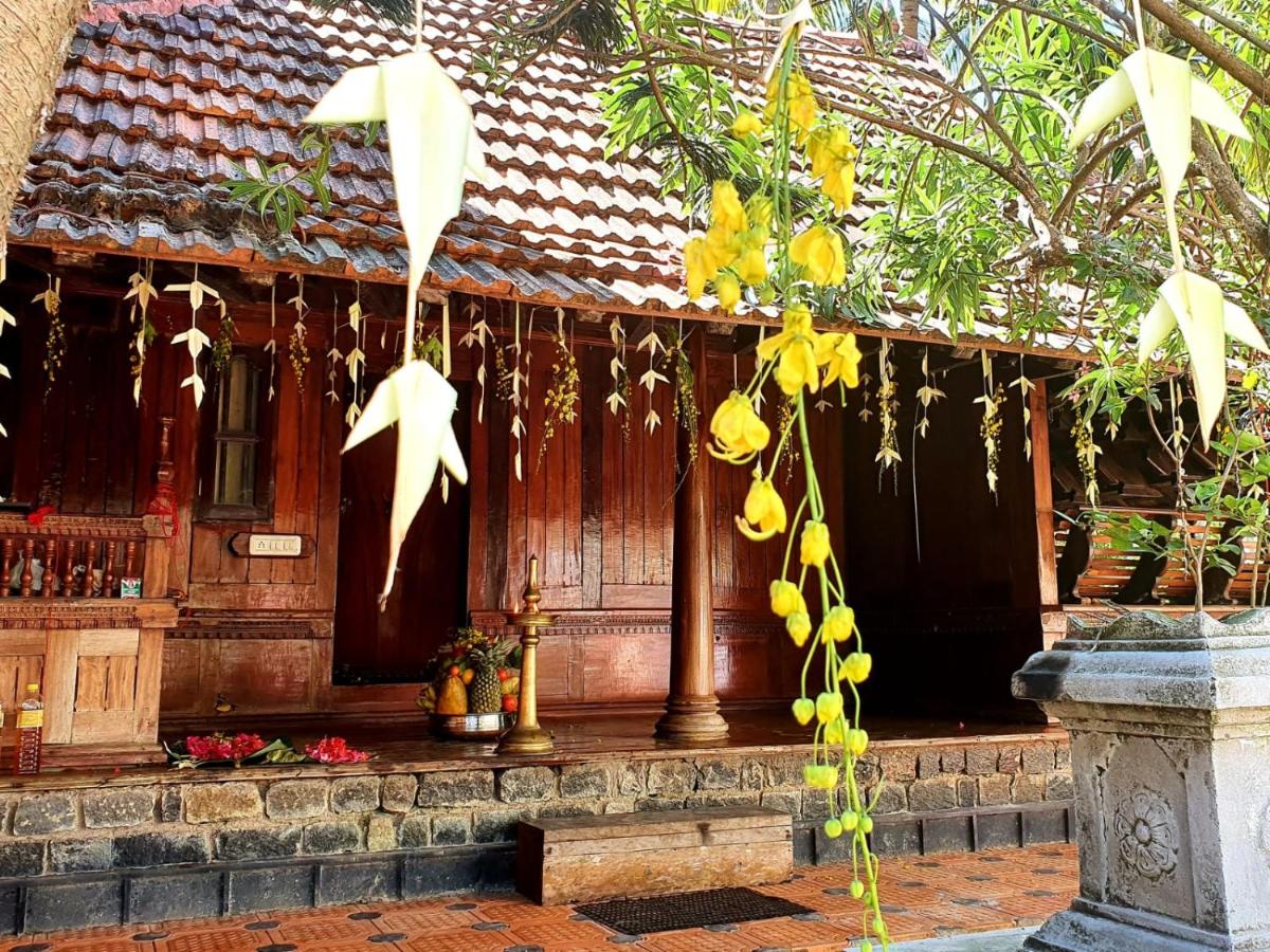 Thriphala Ayurveda Yogashram - B&B