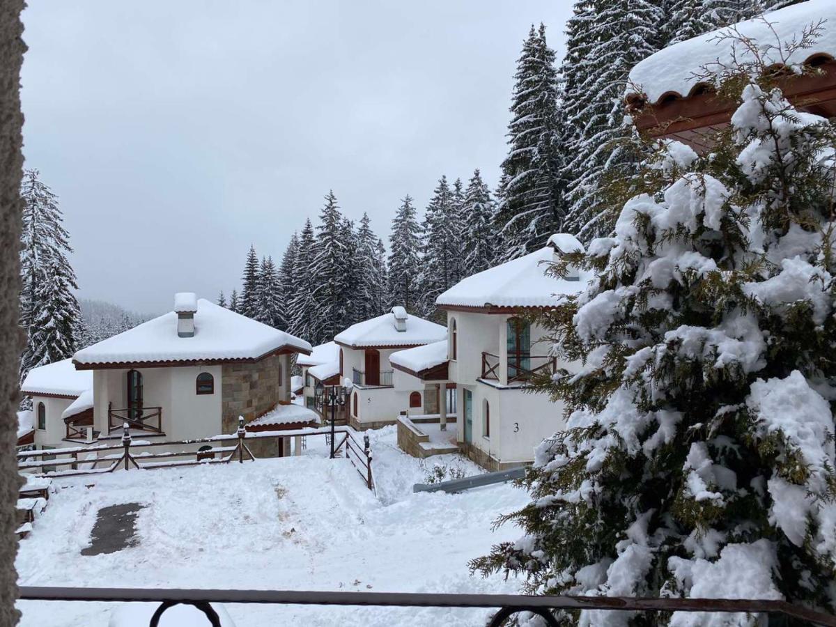 Pamporovo Cottage Savov - Chambres d’hôtes