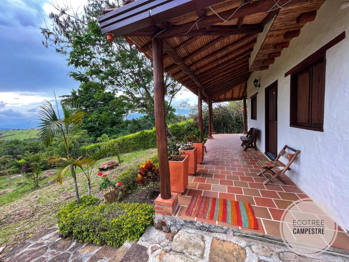 Ecotree Campestre - B&B