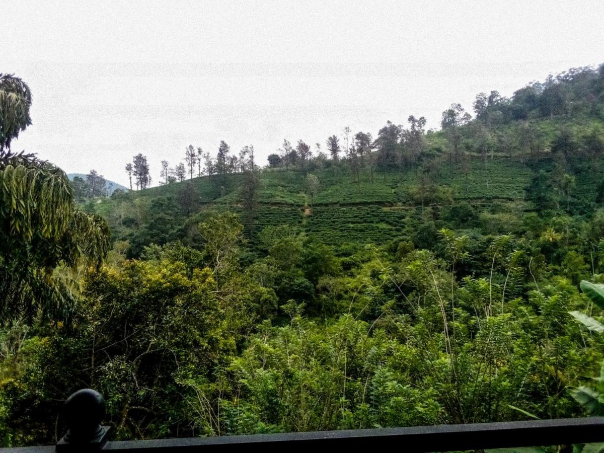 Tea Pick View Ella - B&B Ella Town