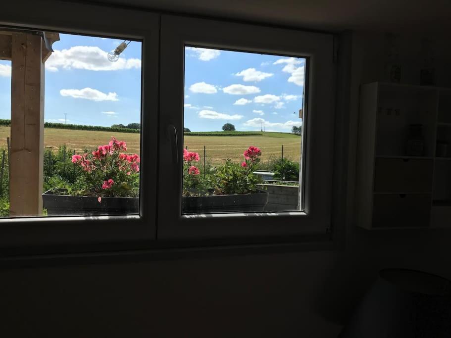 Chalet bois proche de la Dordogne, Eymet a 5 km - B&B