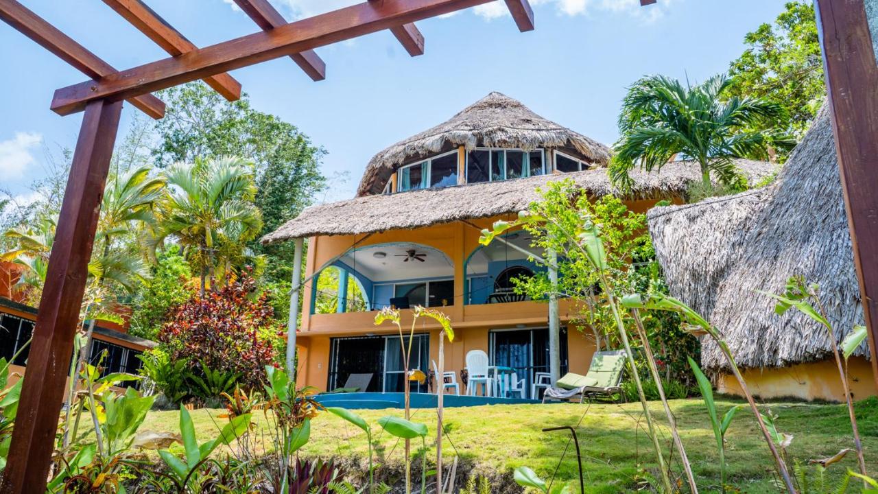 Agave-Blue - B&B Bacalar