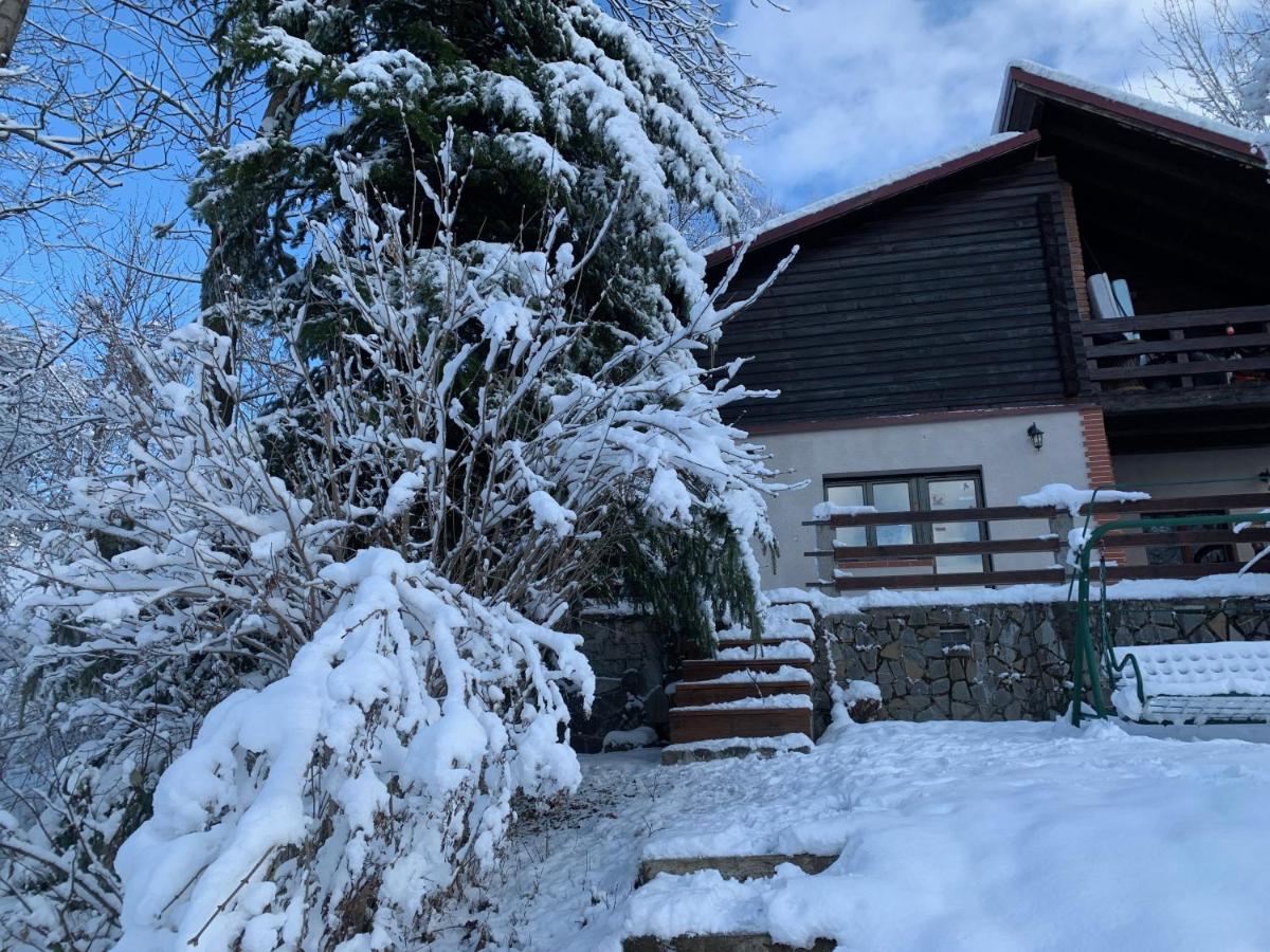 Mountain Family Chalet on Prahova Valley - B&B Comarnic